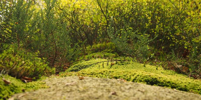 千子彩67深度评测：解锁彩妆新境界，掌握这些美妆技巧更出彩