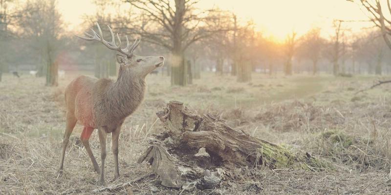 千子彩74深度评测：从成分到妆效的全方位美妆分享