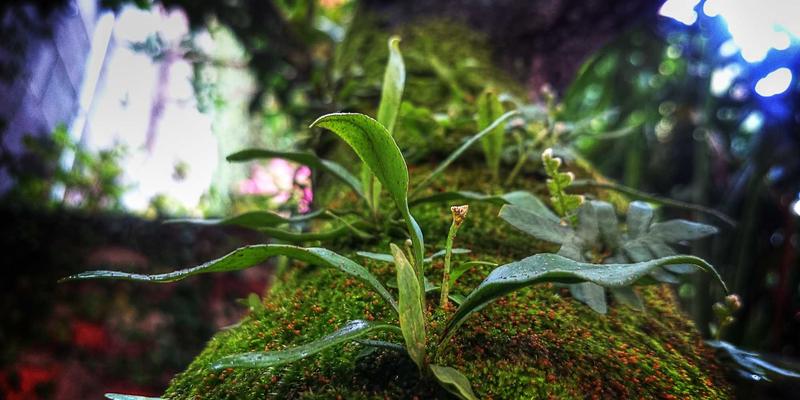 千子彩96:解锁专业级彩妆奥秘,从技巧到艺术的进阶教程