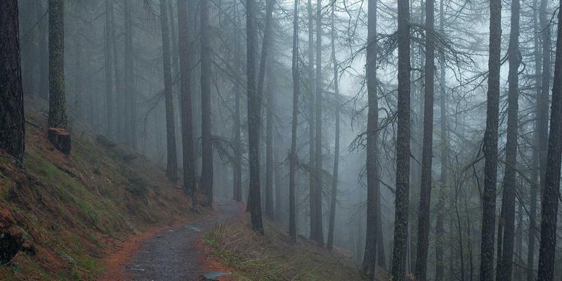 千子彩入门指南：从零开始打造你的专属美妆世界 | 彩妆评测与心得分享