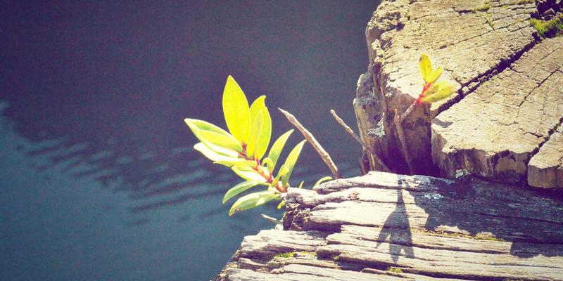 千子彩复刻《红楼梦》仕女妆容：揭秘古籍色彩与现代美妆技巧的完美融合