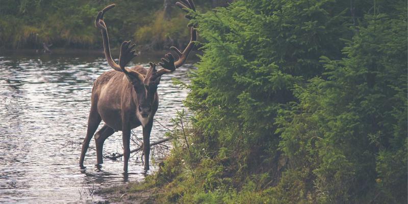 千子彩深度评测与化妆教程：揭秘其独特优势与实用技巧