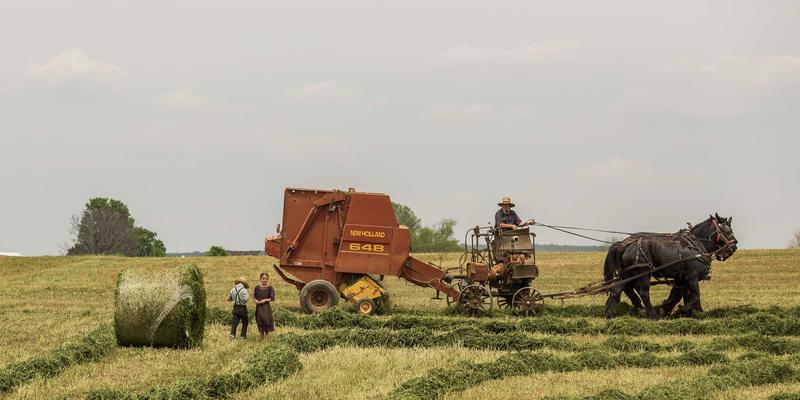 千子彩美妆全解析:从入门到精通的实用技巧与灵感分享