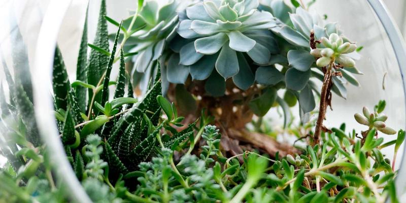 彩妆进阶｜揭秘千子彩工艺“层染”技法：打造立体感与故事感的层次妆容