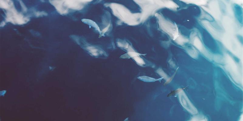 美妆技巧新境界：千子彩“福寿纹样”限定彩妆深度评测与收藏价值解析